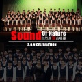 MusicFrog青蛙合唱团、S.O.N自然原聲合唱團 - Adiemus