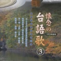 郭金发 - 七逃人的目屎