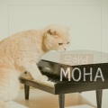 Moha、김태윤 - Club505 - 캥거루