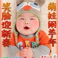小蓓蕾组合 - 祝福羊宝宝
