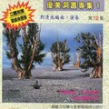 刘清池 - 故乡的月