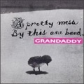 Grandaddy - Away Birdies with Special Sounds