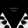 Zaliva-D - Origin (试听版)