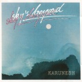 Karunesh - Sky's Beyond