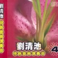 刘清池 - 流浪之歌