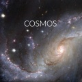 Jacoo - Cosmos