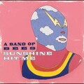 A Band of Bees - Sky Holds the Sun