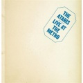 the ataris - The Boys of Summer (Live Version)