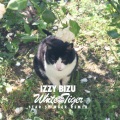 Izzy Bizu、Star Slinger - White Tiger (Star Slinger Remix)