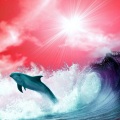 Wave Racer - Rock U Tonite