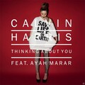 Calvin Harris、Tez Cadey - Thinking About You