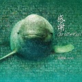 张靓颖 - 感谢