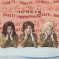 the honeys - Surfin' Down The Swanee River