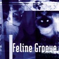 Feline Groove Label - ka/na/e