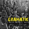 Gramatik - A Bunch Of Questions