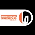 david penn - Gorgeous (Original Mix)