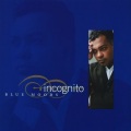 Incognito - Love Is The Colour
