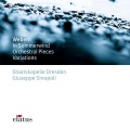 Giuseppe Sinopoli - Webern : Im Sommerwind : I Ruhig bewegt