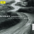 Carlo Maria Giulini、Wiener Philharmoniker - Theme: 
