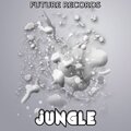 DGL Flow - Jungle