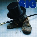 Mr.Big - How Can You Do What You Do