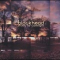 Blockhead - Bullfight in Ireland