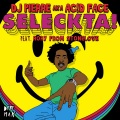 Rory Stone Love、DJ Pierre - Seleckta (feat. Rory Stone Love)(Ac!D Face Mix)(Remix)