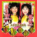 黄美诗、郑仪 - 再说一声恭喜你