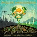 The Polish Ambassador - Forever Lost