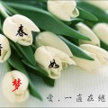 懵懂青春