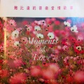 鲍比达 - Would You Marry Me