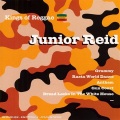 Junior Reid - All Fruits Ripe