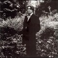 alain bashung - Tel