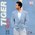 名洋 - 爱上你以后
