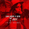 Liviu Hodor、Afgo - You (In My Dreams)