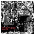 Pygmy Lush - No Feeling