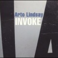 Arto Lindsay - Ultra Privileged