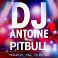 Ma Chérie (DJ Antoine vs Mad Mark 2k13 Radio Edit)