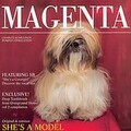 Magenta - She's A Covergirl (Dub Version)