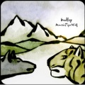 Bradley - Broken