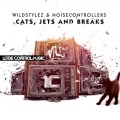 Cats, Jets And Breaks (Original Mix)