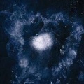 Swans - No WordsNo Thoughts