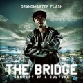 Grandmaster Flash - Shine All Day