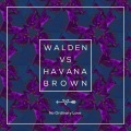 No Ordinary Love (Walden Festival Mix)