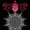 Navicon Torture Technologies - As the Great Bell Tolls, TheSchism Opens, Revealing a World of Birds