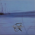 Black Rose - Raindrops