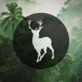 Tom Misch、Carmody、Wild Culture - So Close