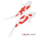 Hi-Fi CAMP - Beautiful