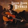 David Adam Byrnes - Sweet Distraction
