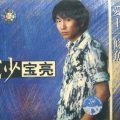 沙宝亮 - 等着你